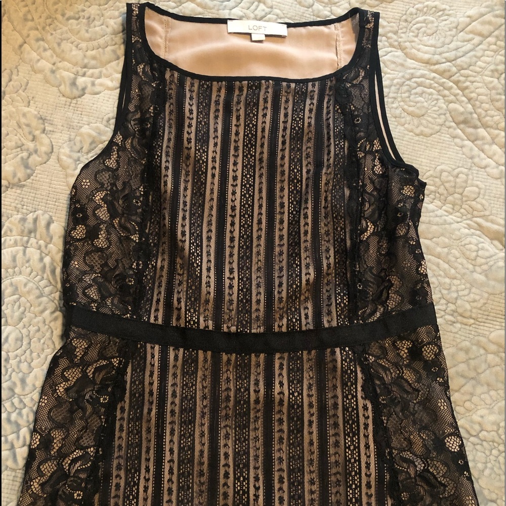 Loft Lace Peplum Top
